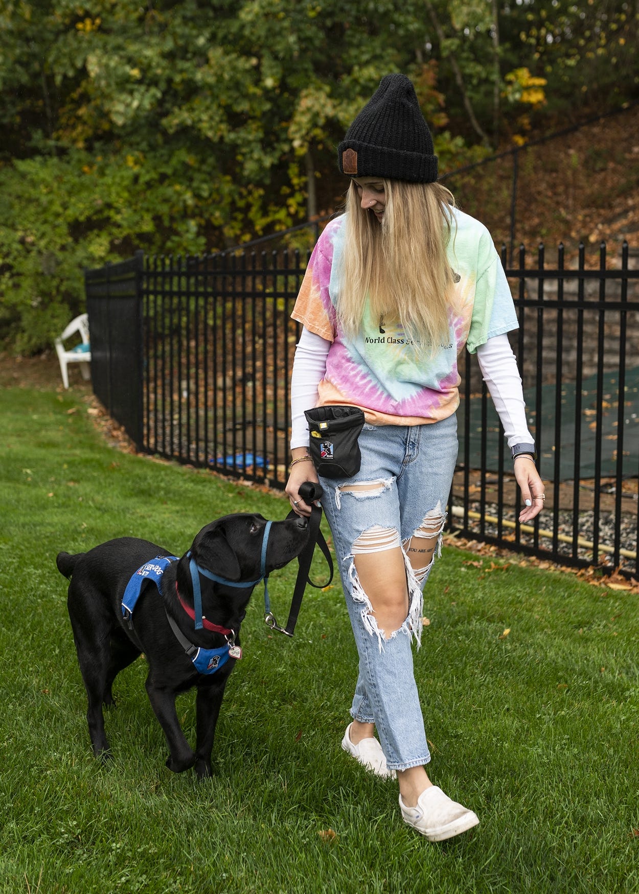 help train service dogs